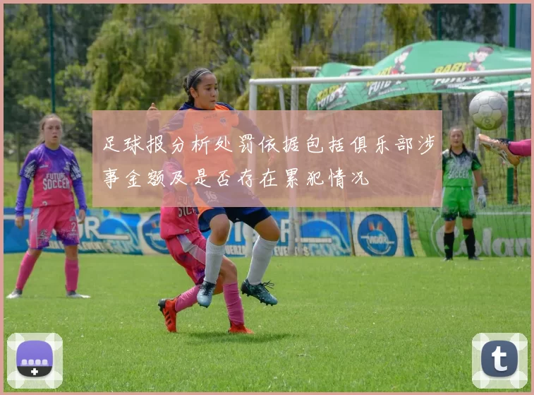 足球报分析处罚依据包括俱乐部涉事金额及是否存在累犯情况