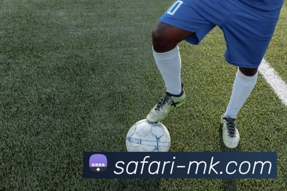 App Interface Preview