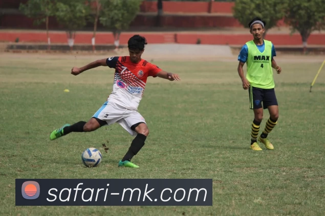 MK体育APP 封面图